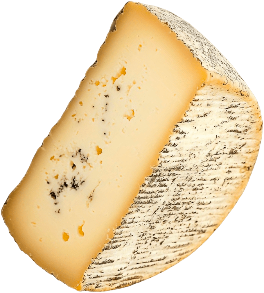 Fetta di formaggio